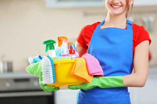 Professional carpet cleaning in Clapham with safety checks and equipment handling