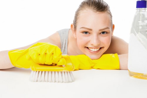 Deep cleaning equipment used for pet stain odour removal