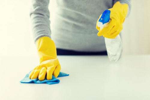Detail cleaning of oven glass and interior surfaces