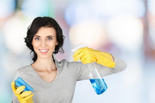 Regular cleaning support for a flat near Clapham Common