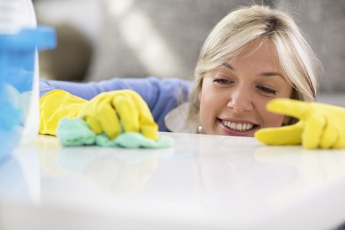 Targeted treatment for carpet and upholstery stains