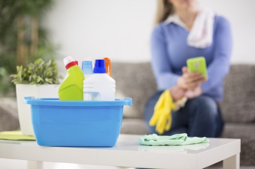 Regular house cleaning service in Clapham with access considerations