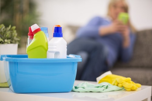 Mattress cleaning equipment used in a Clapham property