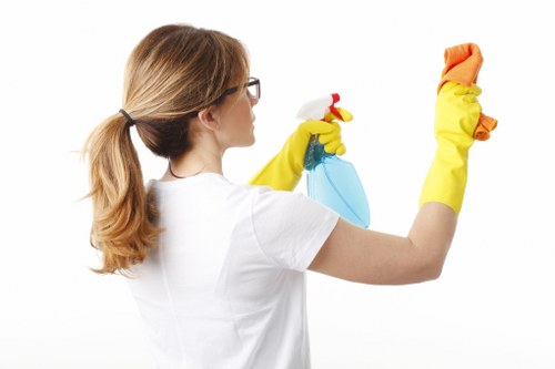 Stain removal service for homes and businesses in Clapham